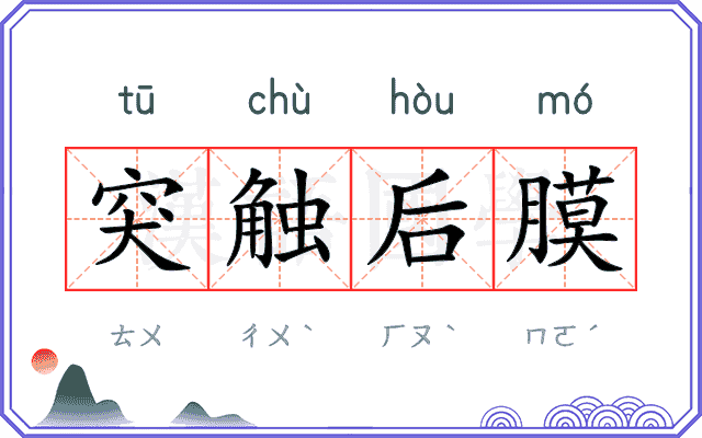 突触后膜 突触后膜