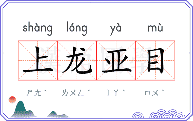 上龙亚目 上龙亚目