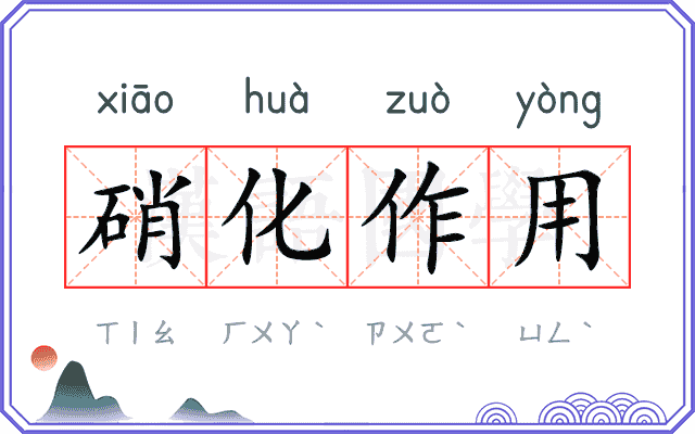 硝化作用 硝化作用