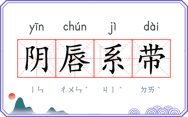 阴唇系带 阴唇系带