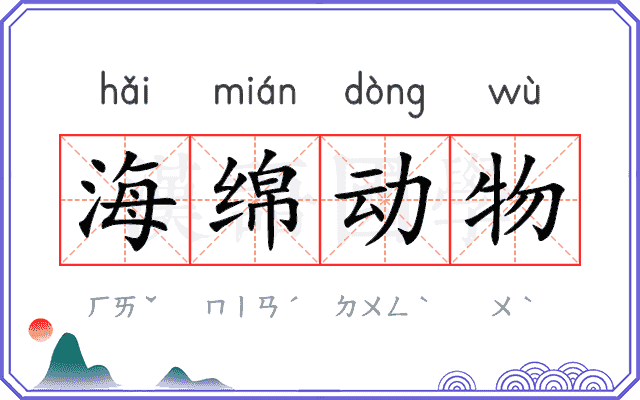 海绵动物 海绵动物