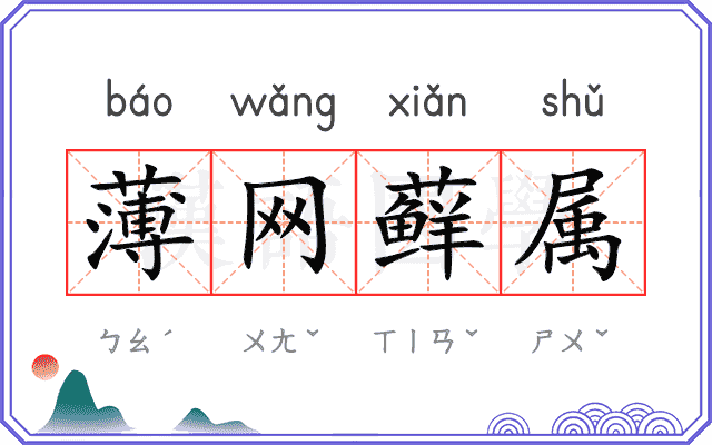 薄网藓属