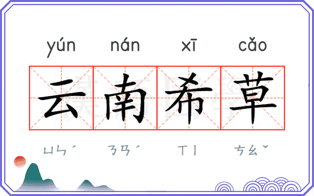 云南希草 云南希草
