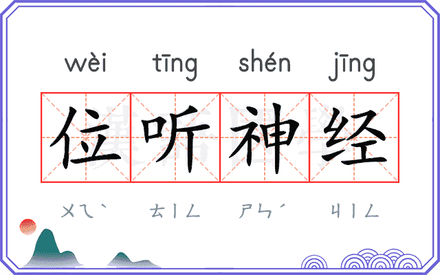 位听神经 位听神经