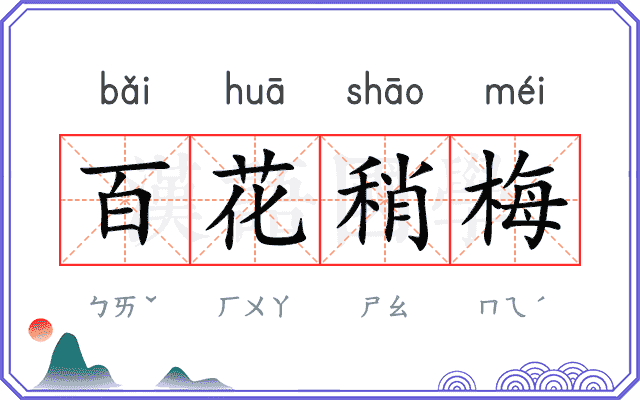 百花稍梅 百花稍梅
