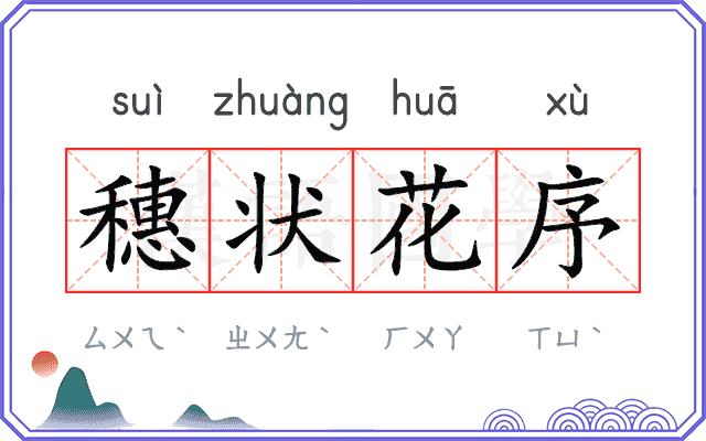 穗状花序 穗状花序