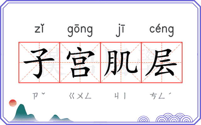 子宫肌层 子宫肌层