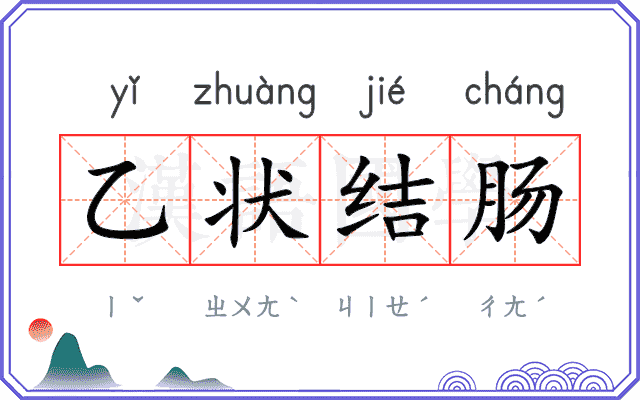 乙状结肠 乙状结肠