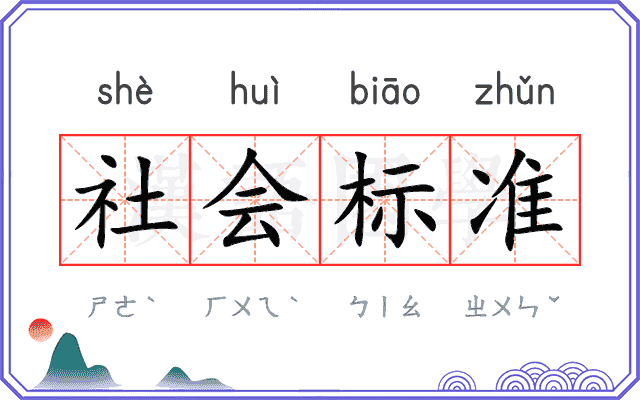 社会标准