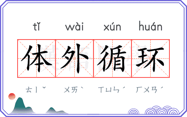 体外循环 体外循环