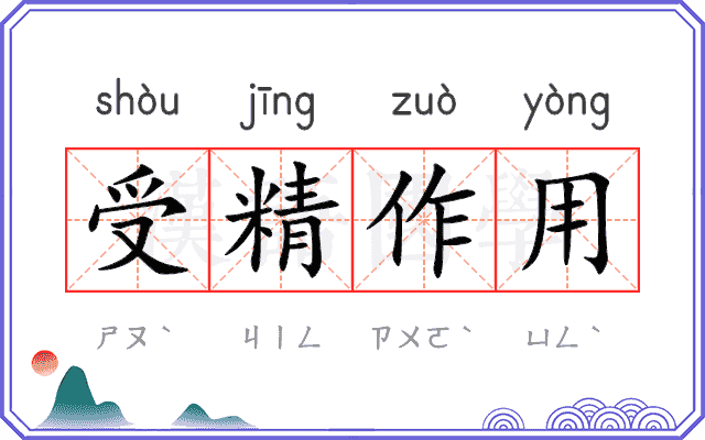 受精作用 受精作用