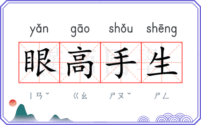 眼高手生 眼高手生
