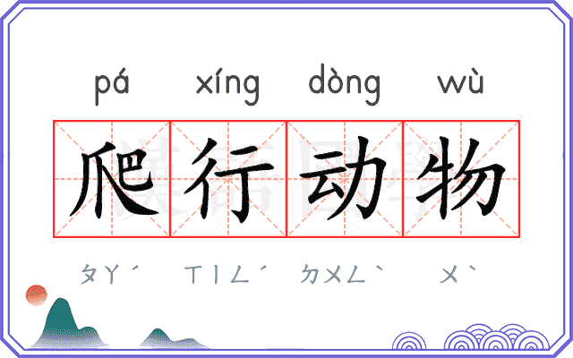 爬行动物 爬行动物