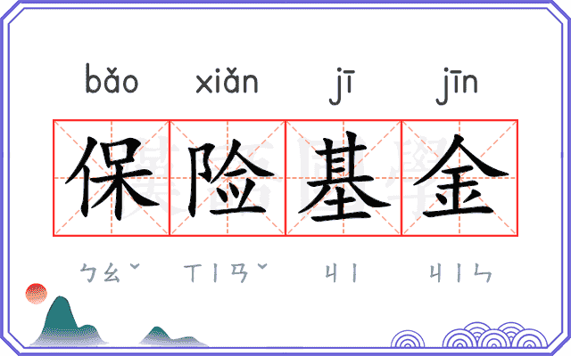 保险基金 保险基金