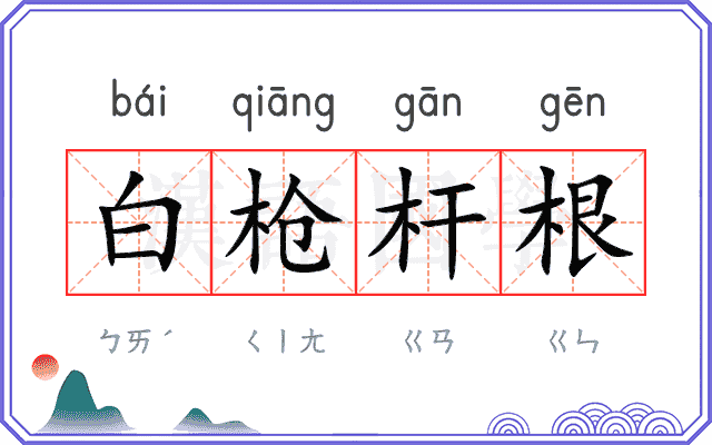 白枪杆根 白枪杆根