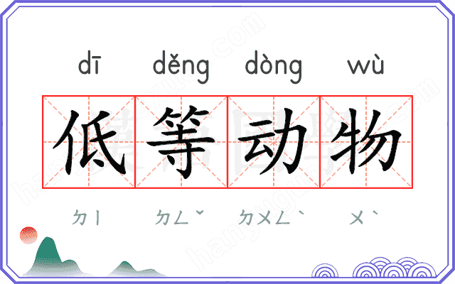 低等动物 低等动物