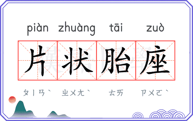 片状胎座 片状胎座