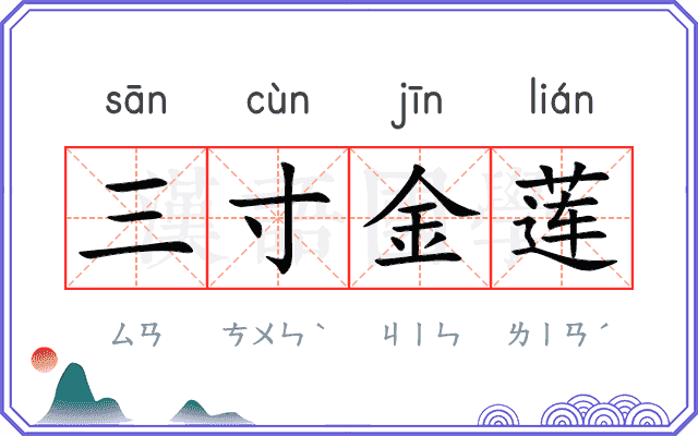 三寸金莲 三寸金莲