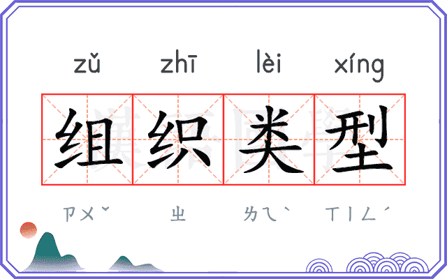 组织类型 组织类型