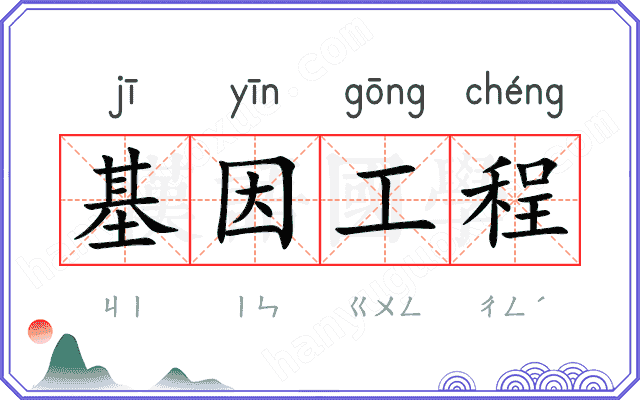 基因工程 基因工程