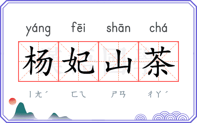 杨妃山茶 杨妃山茶