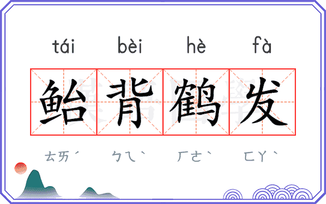 鲐背鹤发