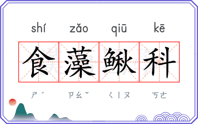 食藻鳅科 食藻鳅科