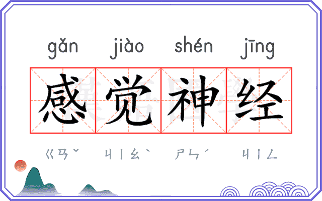感觉神经 感觉神经