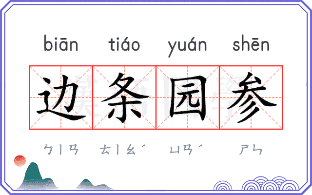 边条园参 边条园参