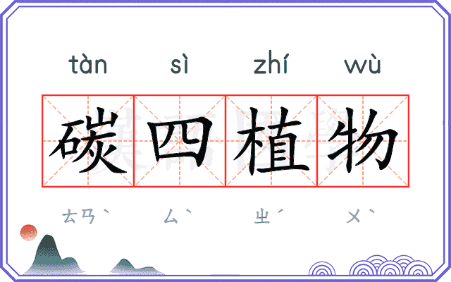 碳四植物 碳四植物