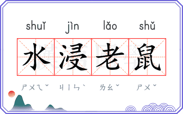 水浸老鼠 水浸老鼠