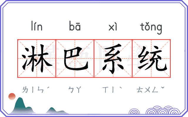 淋巴系统