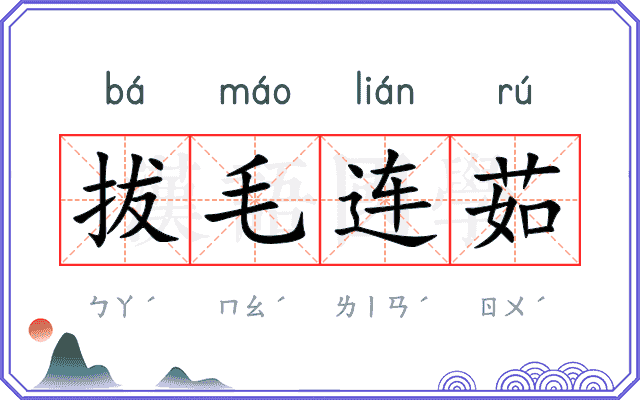 拔毛连茹 拔毛连茹