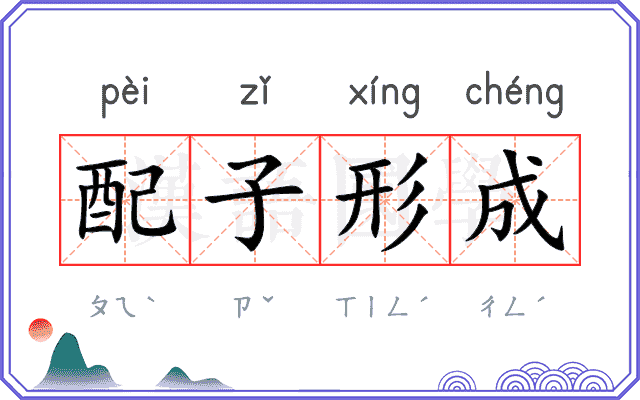 配子形成 配子形成