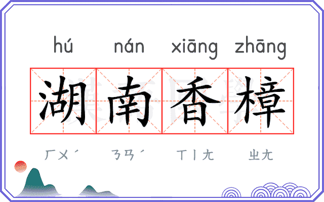 湖南香樟 湖南香樟