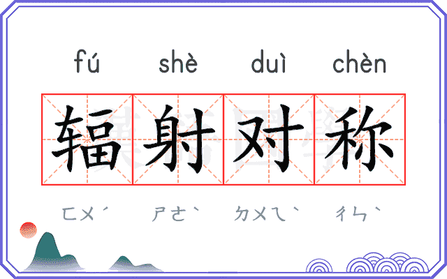 辐射对称 辐射对称