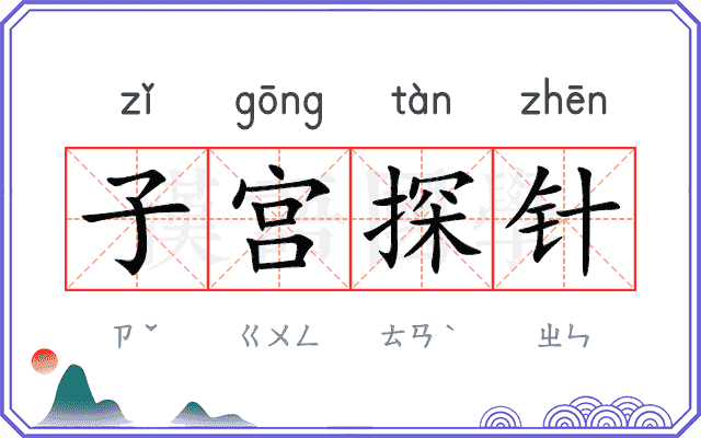 子宫探针 子宫探针