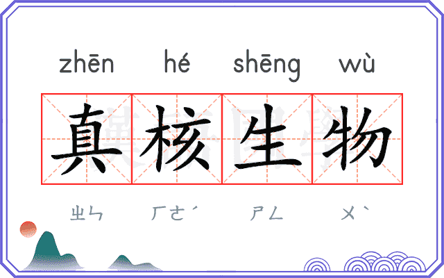 真核生物 真核生物