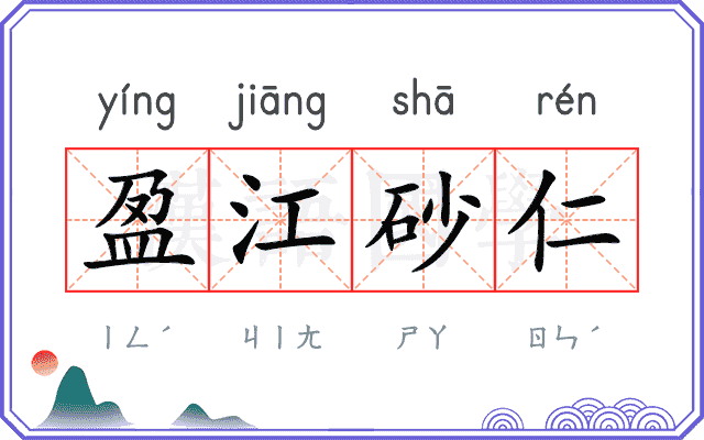 盈江砂仁 盈江砂仁