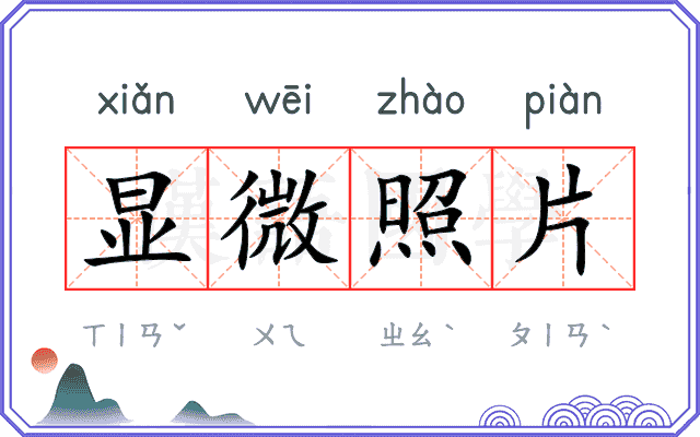 显微照片 显微照片