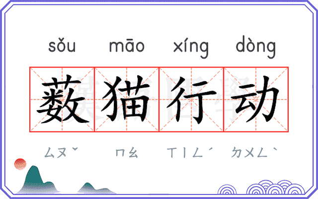 薮猫行动 薮猫行动