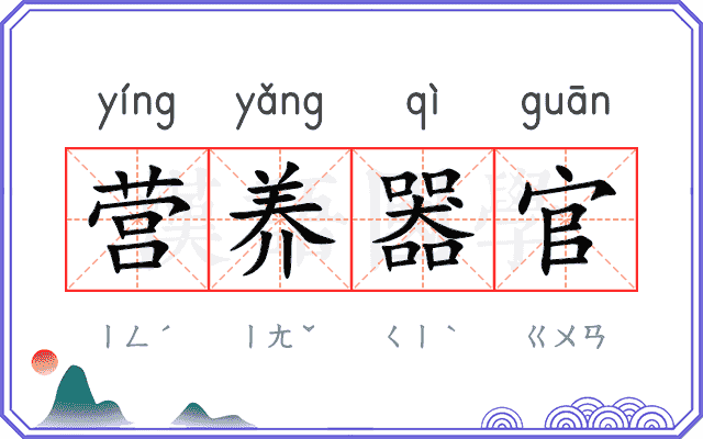 营养器官 营养器官