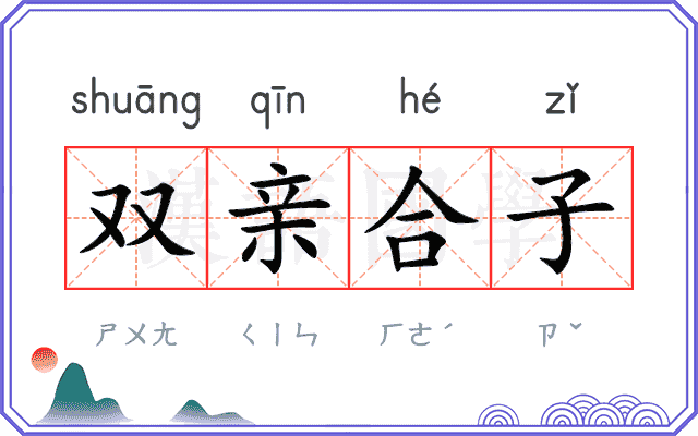 双亲合子 双亲合子