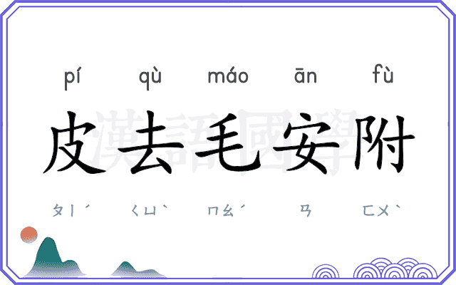 皮去毛安附 皮去毛安附