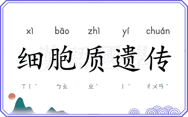 细胞质遗传 细胞质遗传