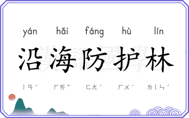 沿海防护林 沿海防护林