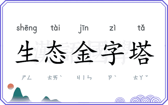 生态金字塔 生态金字塔