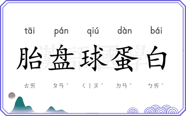 胎盘球蛋白 胎盘球蛋白