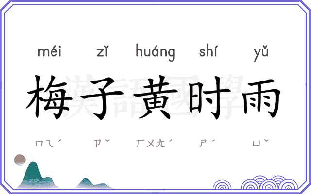 梅子黄时雨 梅子黄时雨
