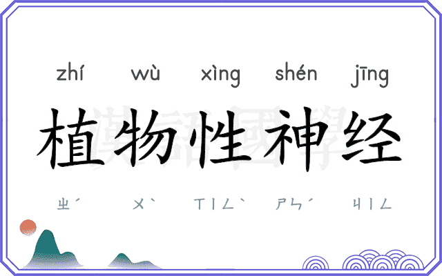 植物性神经 植物性神经
